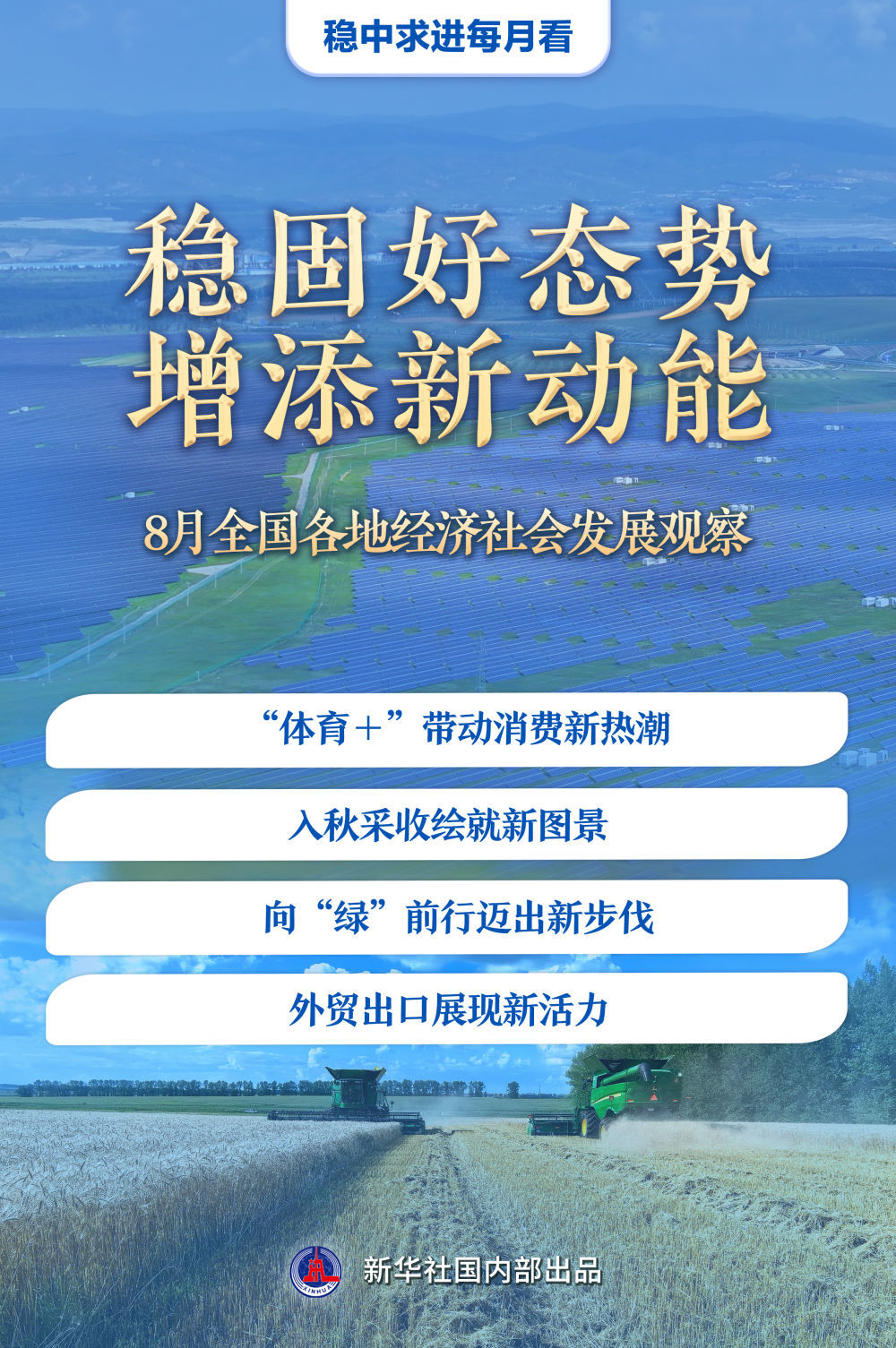 新澳门中特期期精准,新澳门中特期期精准，揭示犯罪行为的危害与应对之策