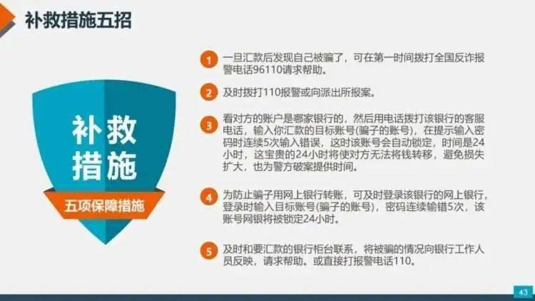 管家婆204年资料一肖,探索管家婆204年资料中的独特一肖秘密