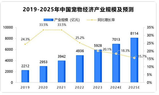 2024新澳今晚资料,探索未来，解析新澳今晚资料与未来趋势展望（2024年展望）