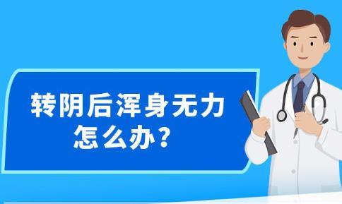 2025年1月1日 第43页