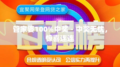 管家婆100%中奖,揭秘管家婆100%中奖，真相、策略与风险洞察