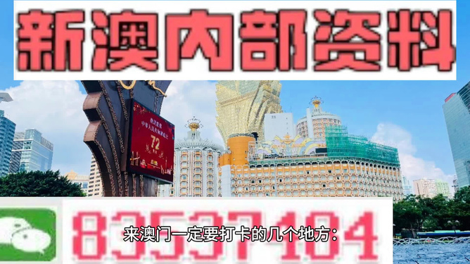 2024新奥正版资料四不像,探索未来奥秘，2024新奥正版资料四不像深度解析