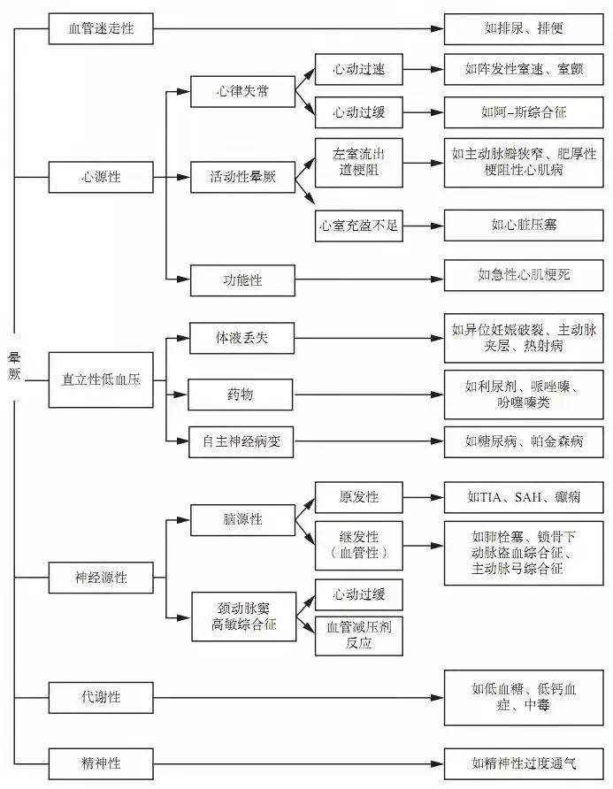 7777788888王中王中特,探索数字背后的秘密，王中王中特与数字世界中的奥秘 7777788888