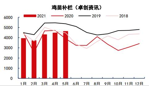 2025新澳今晚资料鸡号几号,关于新澳今晚资料鸡号的预测与探讨——以2025年为背景